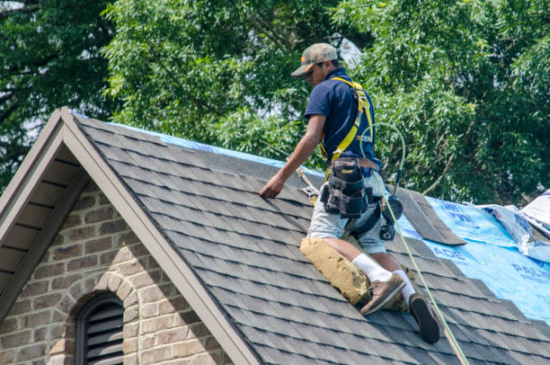 Best Metal Roofing Contractor  in James City, NC